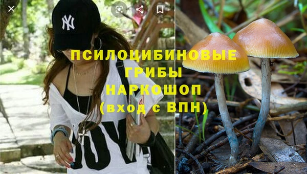 ALPHA PVP Кинешма