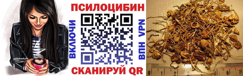 Купить закладки  Новая Усмань  Псилоцибиновые грибы Cubensis 